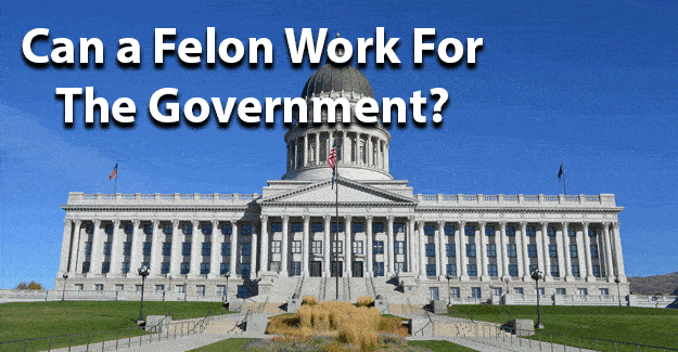 Can a felon work for the government