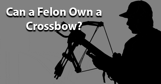 Can a Felon Own a Crossbow jobs for felons and felony record hub website