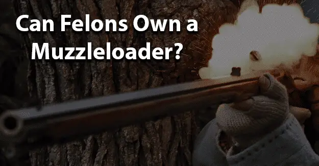 Can felons own a muzzleloader jobs for felons and felony record hub website