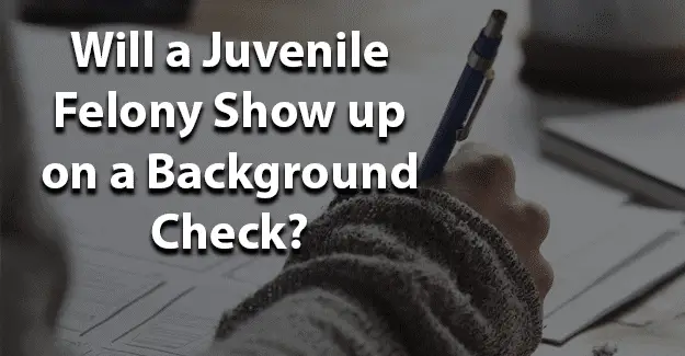 Will a juvenile felony show up on a background che jobs for felons and felony record hub website