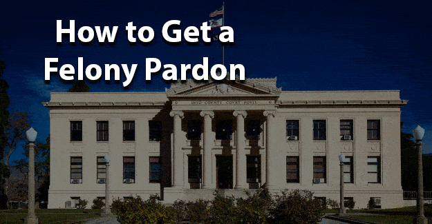 How to get a felony pardon