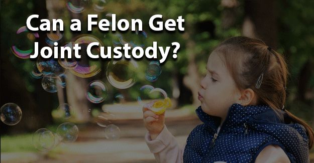 felon joint custody jobs for felons and felony record hub website
