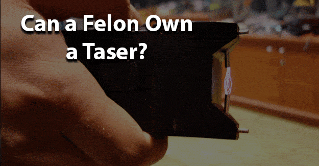 Can a felon own a taser jobs for felons and felony record hub website