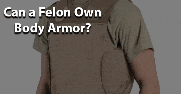 Can a felon own body armor jobs for felons and felony record hub website
