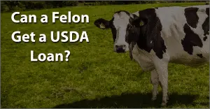 can a felon get a usda loan