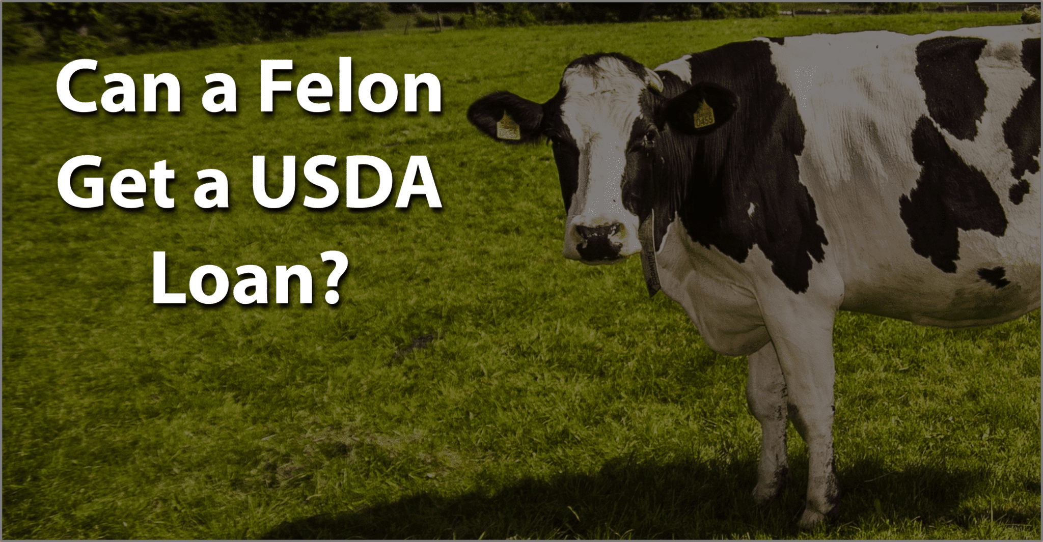 can a felon get a usda loan