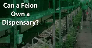 Can a Felon Own a Dispensary