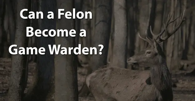 Can a Felon Become a Game Warden