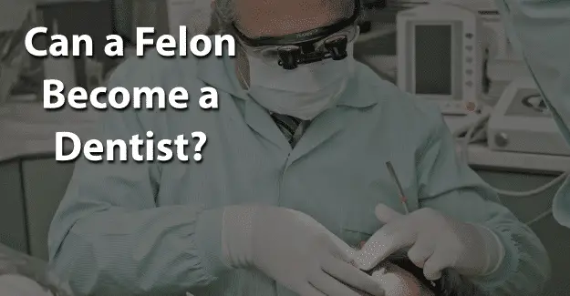 Can a Felon Become a Dentist
