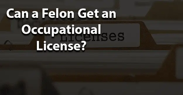 Can a Felon Get an Occupational License jobs for felons and felony record hub website