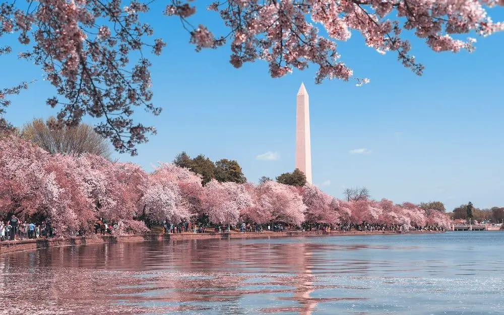 jobs for felons in Washington dc