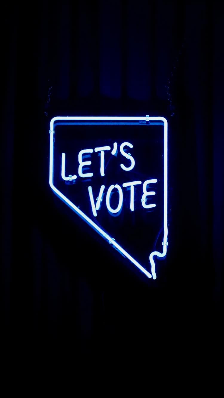 felony record hub voting rights